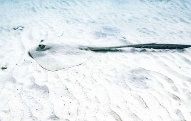 plage des îles perhentians en Malaisie en famille